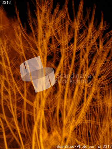 Image of in the dark