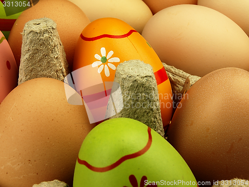 Image of Colorful Easter eggs in the company of ordinary eggs.