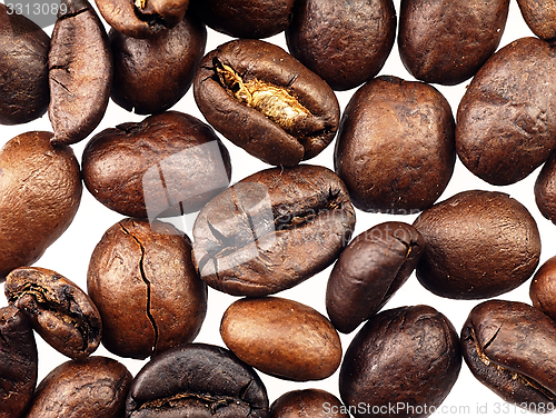 Image of Coffee beans on a white background.