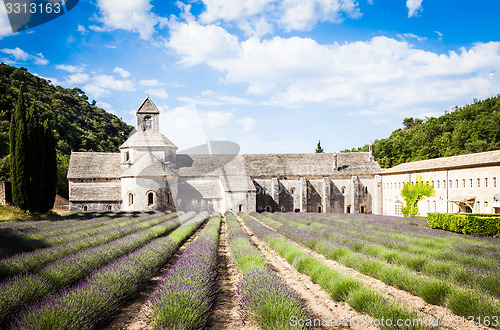 Image of Lavander field