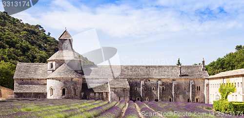 Image of Lavander field