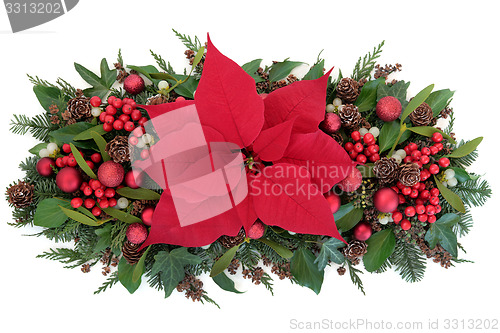 Image of Poinsettia Flower Display