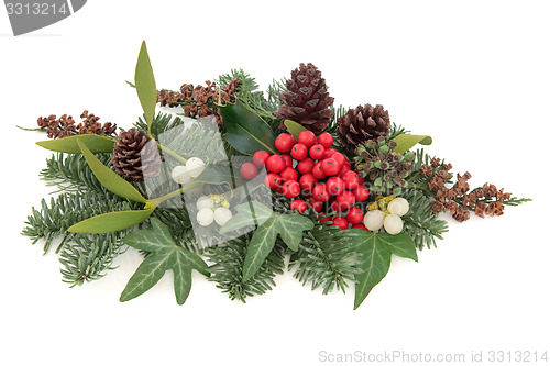 Image of Traditional Winter Flora