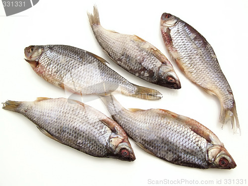 Image of Dry fish