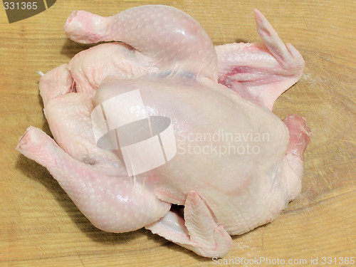 Image of Raw chicken