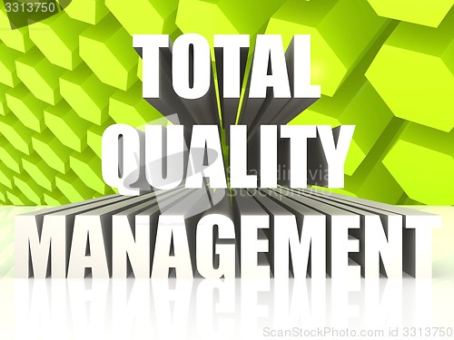 Image of Total Quality Management