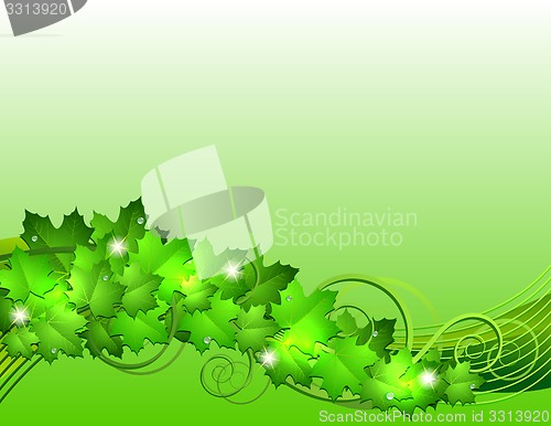 Image of Nature background with green fresh leaves . 