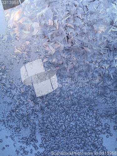 Image of Ice pattern on winter glass