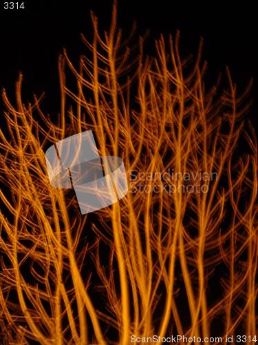 Image of Nigt