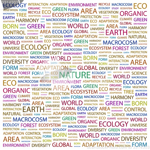 Image of NATURE.