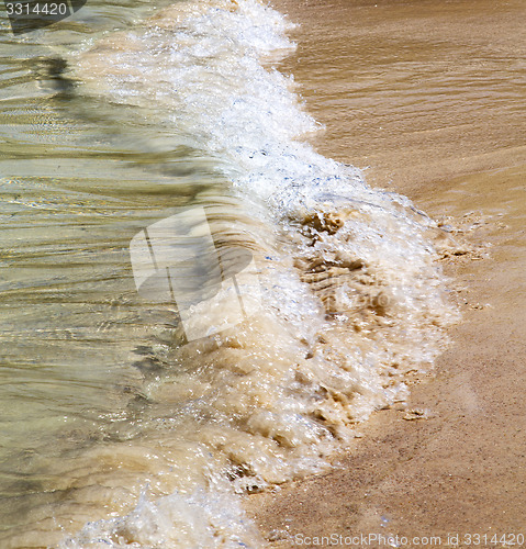 Image of thailand  phangan bay abstract of a gold in water    