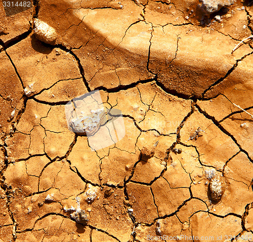 Image of branch wood lanzarote spain abstract 