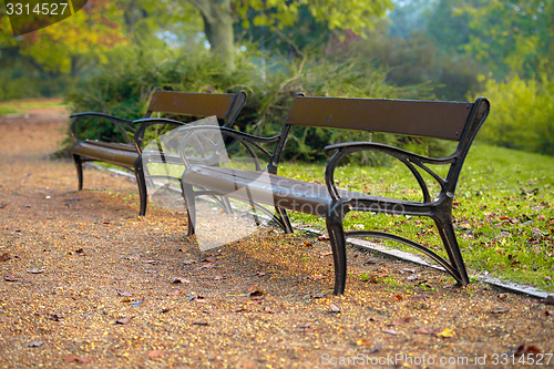 Image of Stylish bench in autumn park