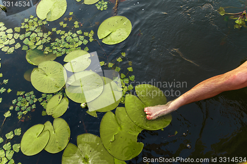 Image of Peaceful place at the pond