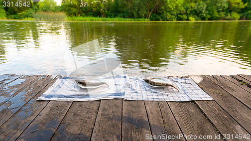 Image of Wooden deck with fish on it