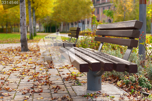 Image of Stylish bench in autumn park