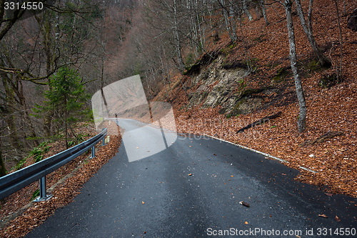 Image of Road in autumn forest landscape