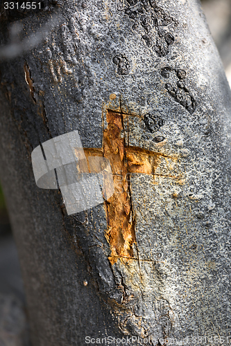 Image of Wooden cross carved in wood