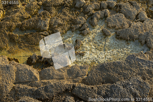 Image of Beach with rocks and clean water