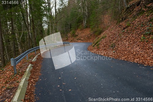 Image of Road in autumn forest landscape