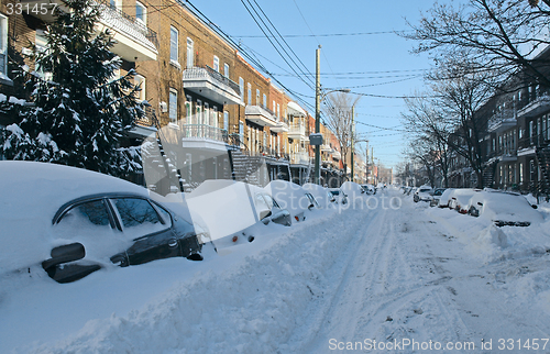 Image of Cars covered by snow on the street