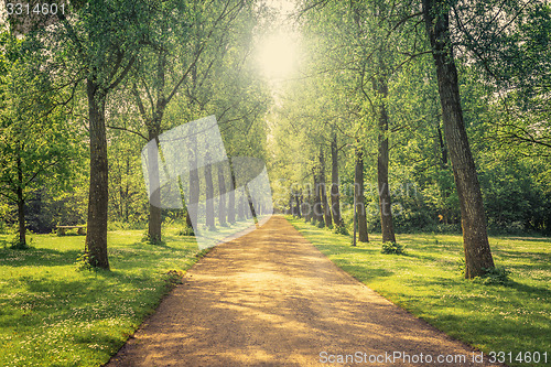 Image of Alley in a green park