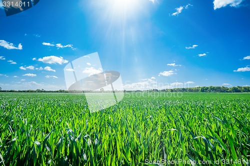 Image of Sunshine on a countryside