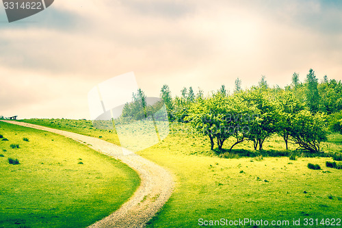 Image of Path on a green field