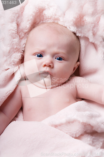 Image of Newborn portrait