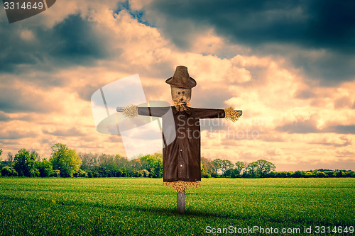 Image of Scarecrow on a green field