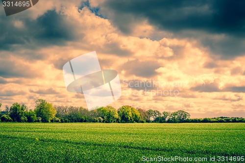Image of Dark clouds over a field