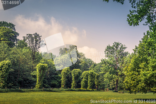 Image of Park with various green trees