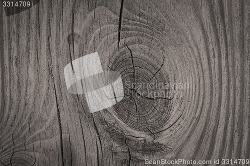 Image of Wood background closeup with textures