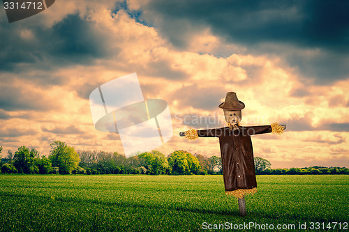 Image of Scarecrow on a green field