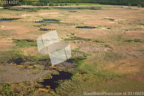 Image of Swamp view