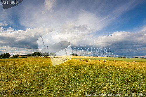 Image of Summer landscape after a storm