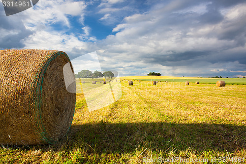 Image of Summer landscape after a storm