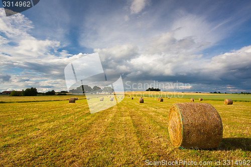 Image of Summer landscape after a storm