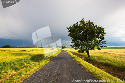 Image of Empty road and landscape after heavy storm