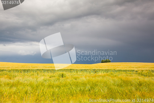Image of Summer landscape before heavy storm