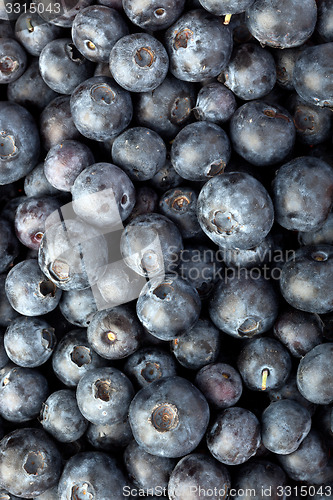 Image of Blueberries