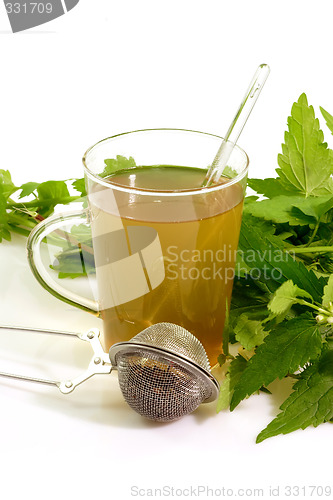 Image of Glass of herbal tea