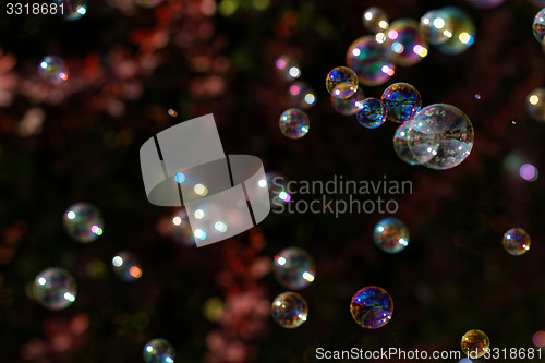 Image of Soap bubbles