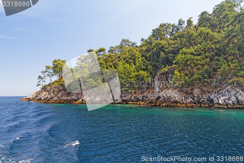 Image of Green island