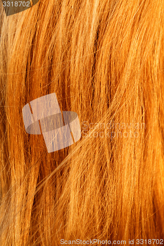 Image of Blonde hair