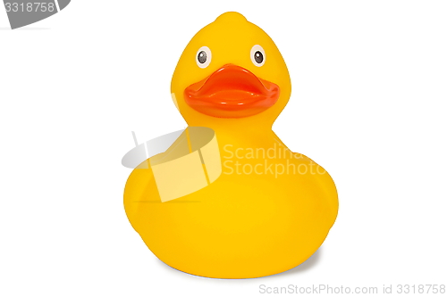 Image of Rubber duck