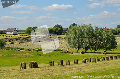 Image of rural landscape