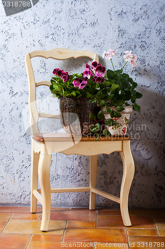 Image of pelargonium and fuchsia