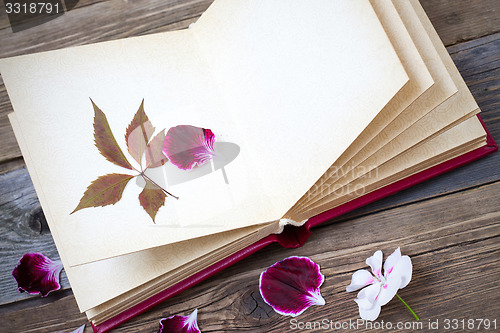 Image of open book with herbarium leaves and petals of geraniums on the p
