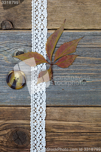 Image of tape lace, button and herbarium